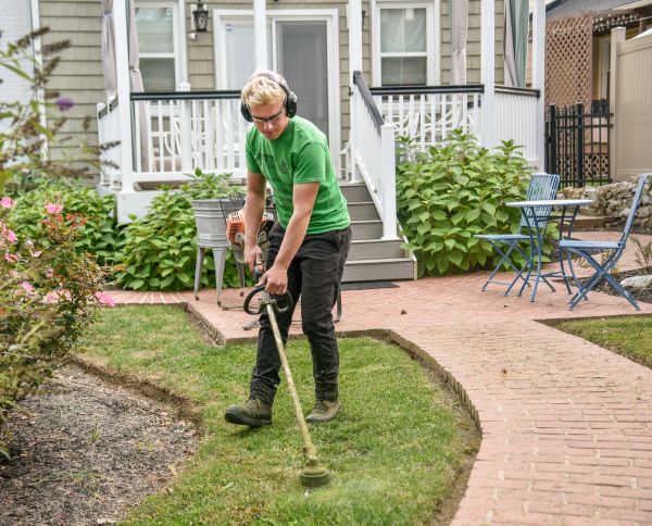Elevate Your Gardening with AI Solutions from Plant Me